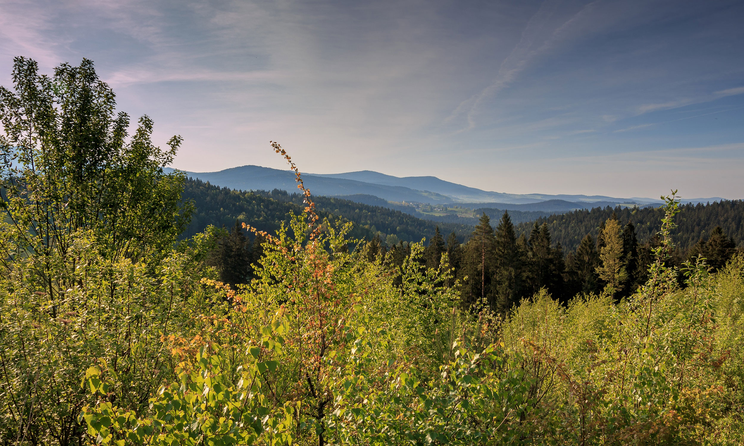 Freizeit- und Aktivmöglichkeiten im Bayerischen Wald