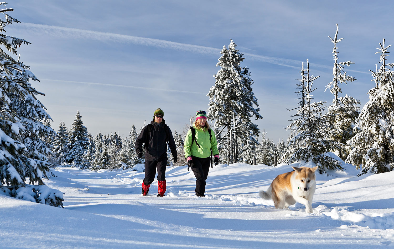 Winterwandern in Bayern