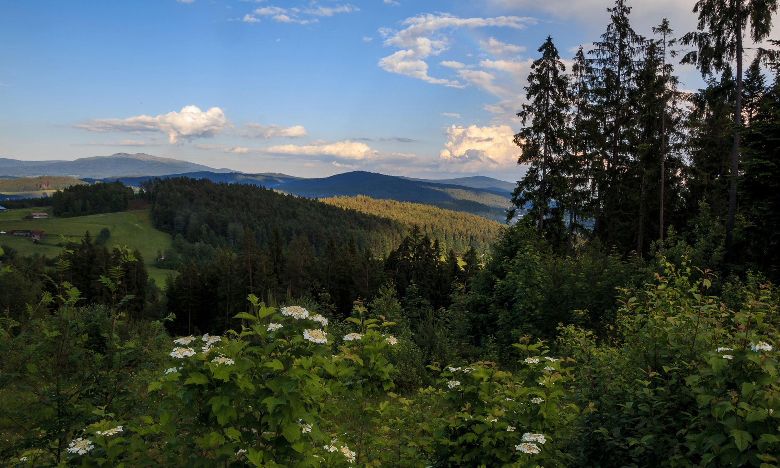 Langdorf Bayerischer Wald